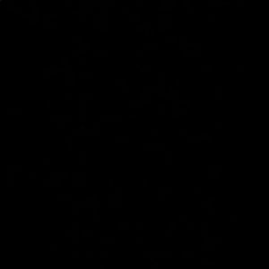 Meet your Posher, Bryan